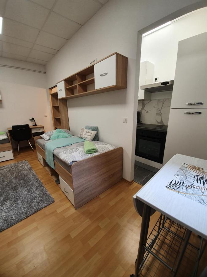 Maribor City Center Minidorm Apartment Екстер'єр фото
